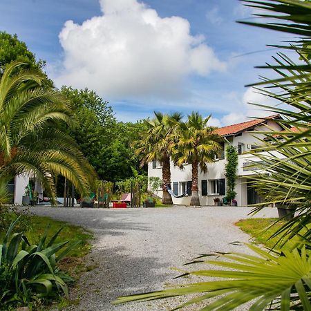 Bed and Breakfast Erreka Txikia Urrugne Exterior foto